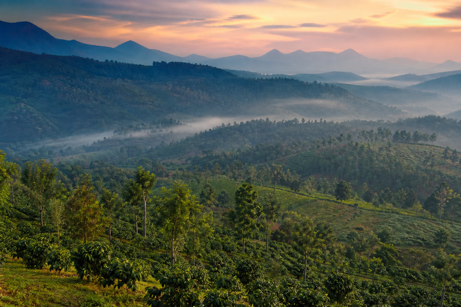 Araku Valley misty green hills and coffee estates